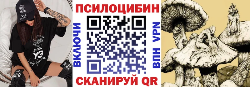 Галлюциногенные грибы Cubensis  Тобольск 