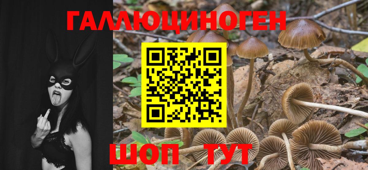 Галлюциногенные грибы мухоморы Тобольск